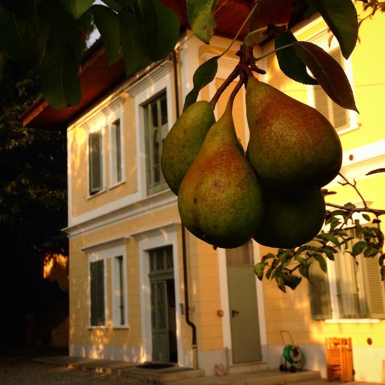 Villa D'Azeglio Albiano dʼIvrea Kültér fotó
