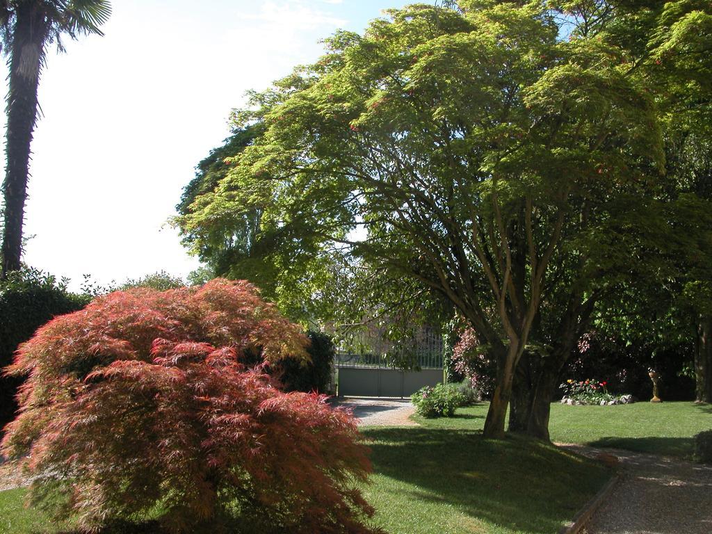 Villa D'Azeglio Albiano dʼIvrea Kültér fotó
