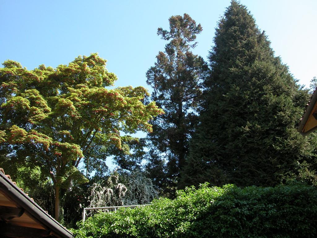 Villa D'Azeglio Albiano dʼIvrea Kültér fotó