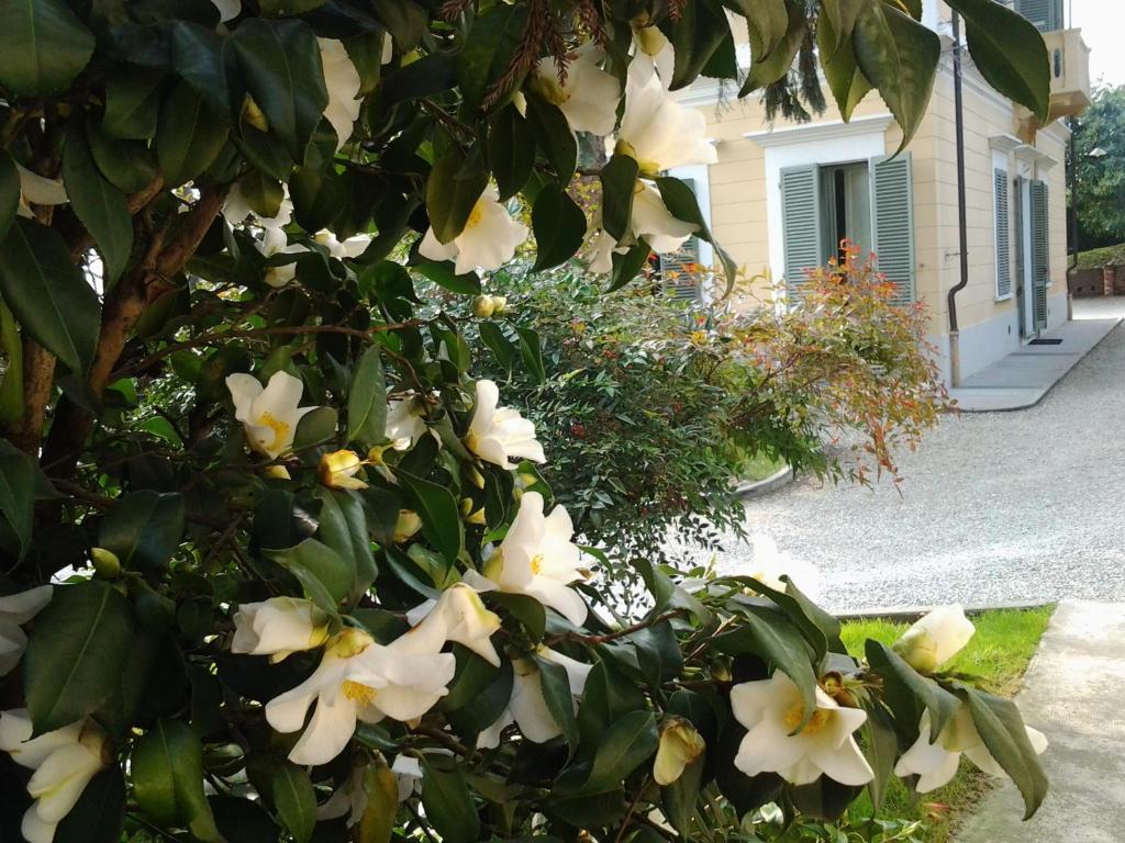 Villa D'Azeglio Albiano dʼIvrea Kültér fotó