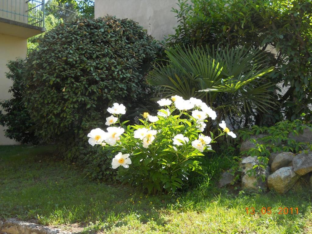 Villa D'Azeglio Albiano dʼIvrea Kültér fotó